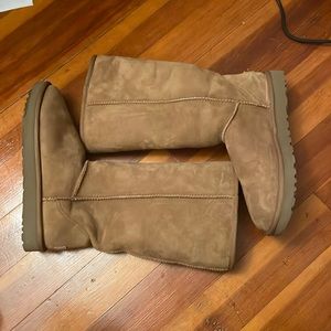 Shin High Chestnut Uggs